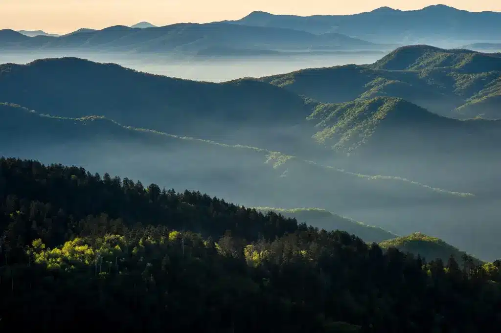 Great Smokey Mountain Hikes